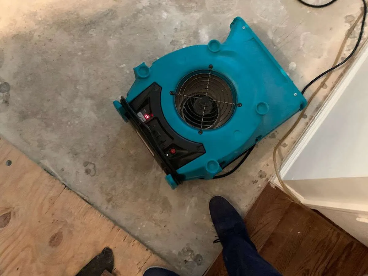 Air mover drying subfloor during Leak Detection & Repair in Fallsburg